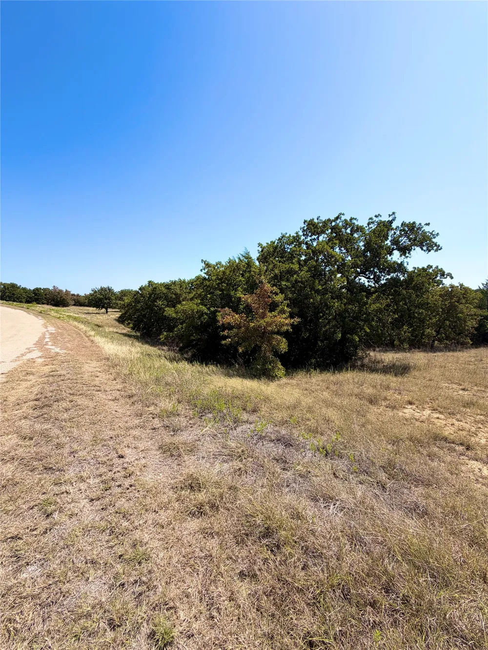 118 Elm Cove Sunset, TX 76270