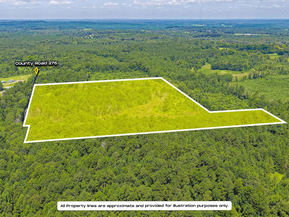 County Road 276 Nacogdoches, TX 75961