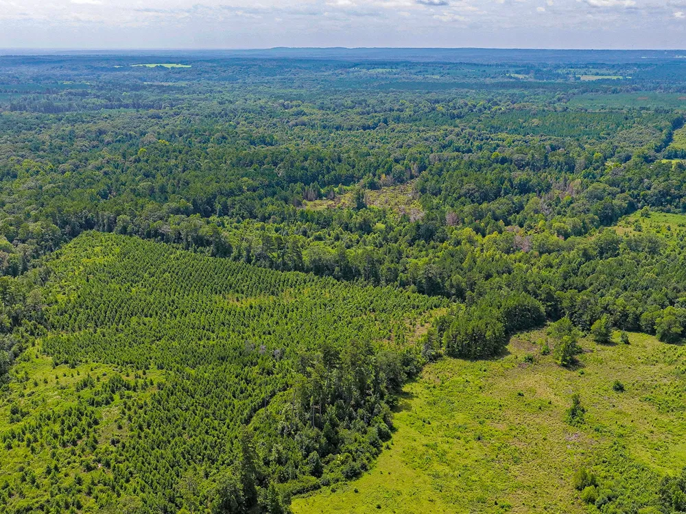 County Road 276 Nacogdoches, TX 75961