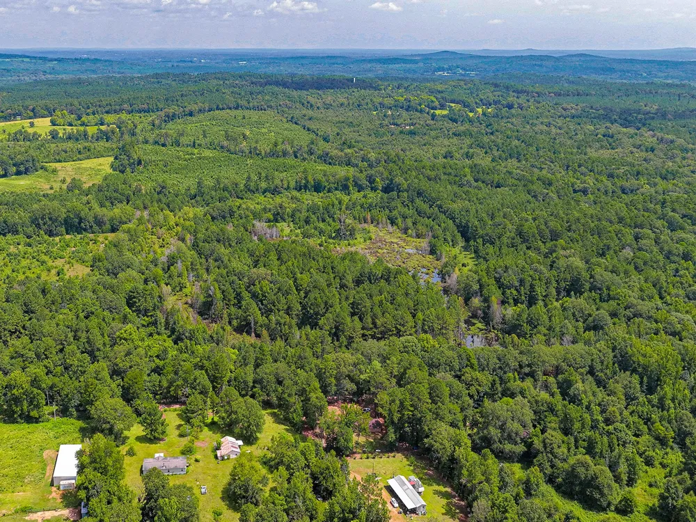 County Road 276 Nacogdoches, TX 75961
