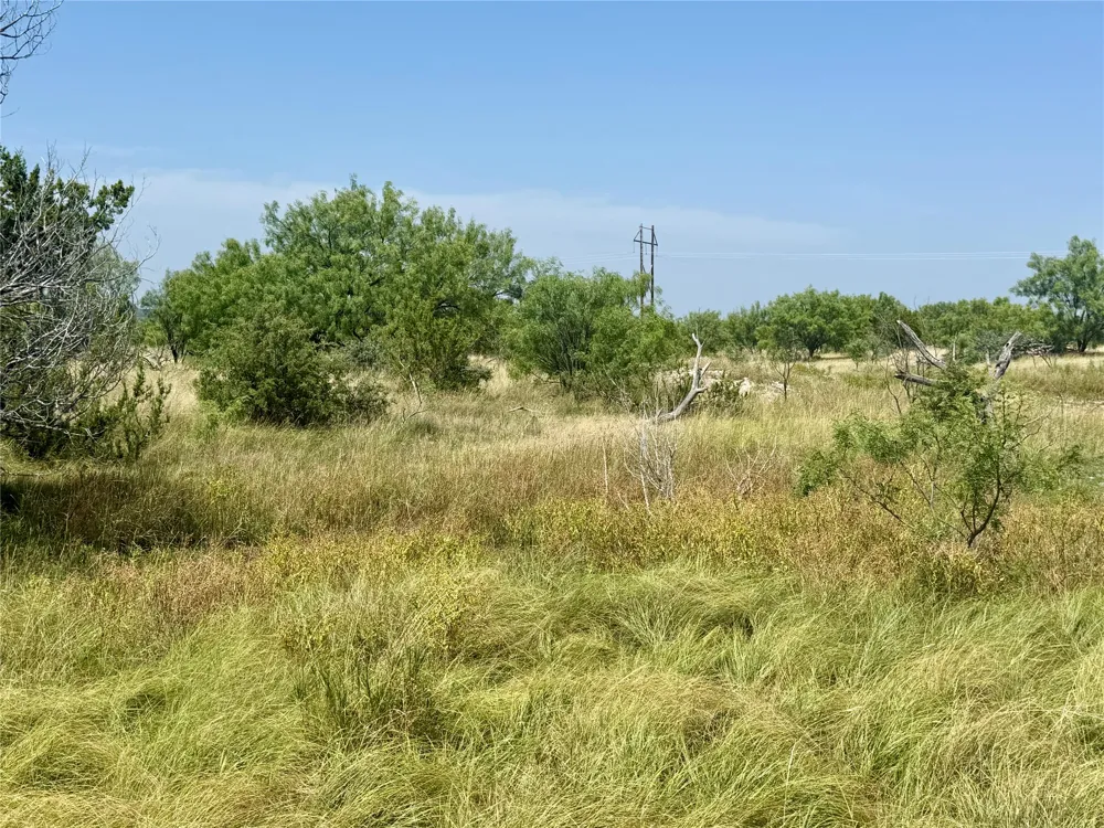 2553 Stonewall Valley Christoval, TX 76935