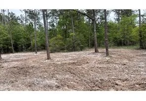 Langham Road Kountze, TX 77625