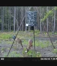 Langham Road Kountze, TX 77625