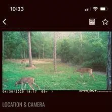 Langham Road Kountze, TX 77625
