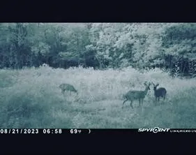 Langham Road Kountze, TX 77625