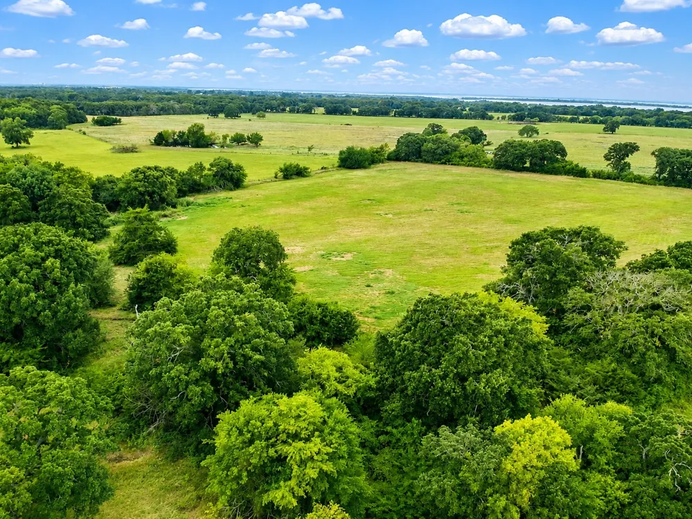 8401 S Fm 148 Scurry, TX 75158