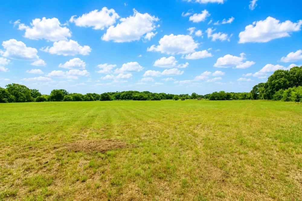 8401 S Fm 148 Scurry, TX 75158