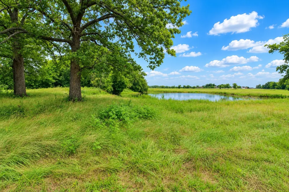8401 S Fm 148 Scurry, TX 75158
