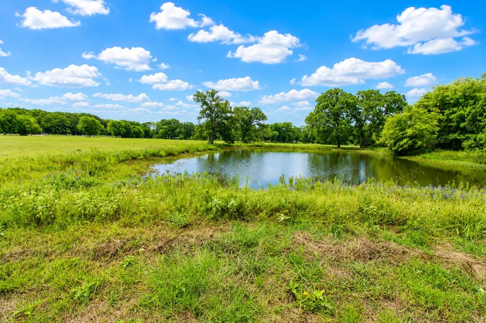 8401 S Fm 148 Scurry, TX 75158
