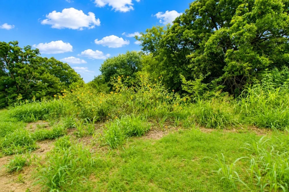 8401 S Fm 148 Scurry, TX 75158