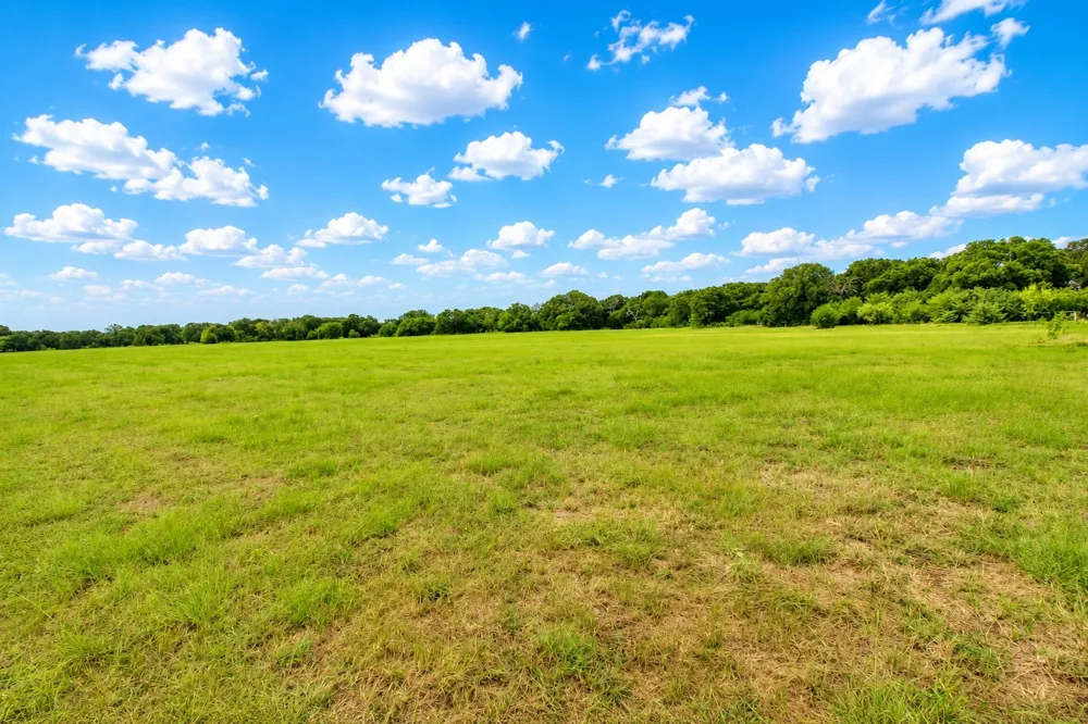 8401 S Fm 148 Scurry, TX 75158