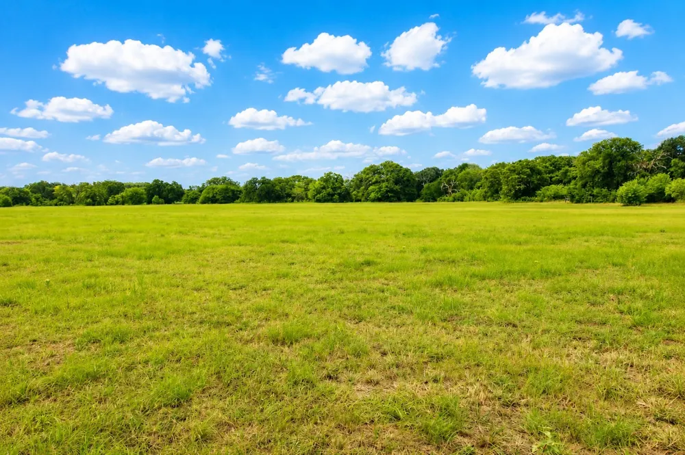 8401 S Fm 148 Scurry, TX 75158