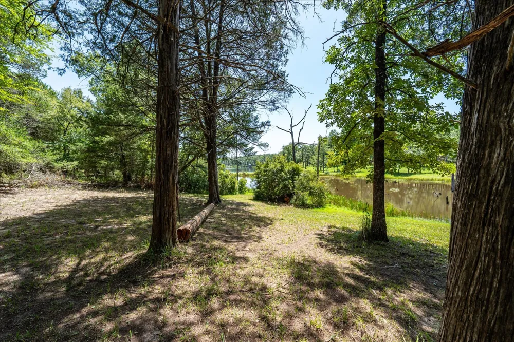 9006 Fallow Run Larue, TX 75770