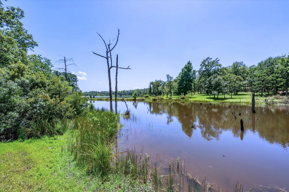 9006 Fallow Run Larue, TX 75770