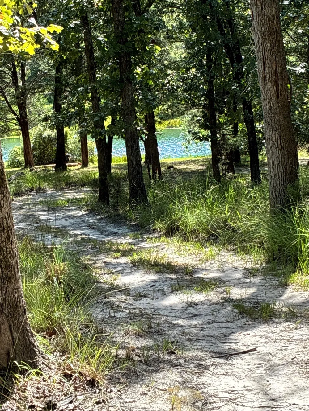 9006 Fallow Run Larue, TX 75770