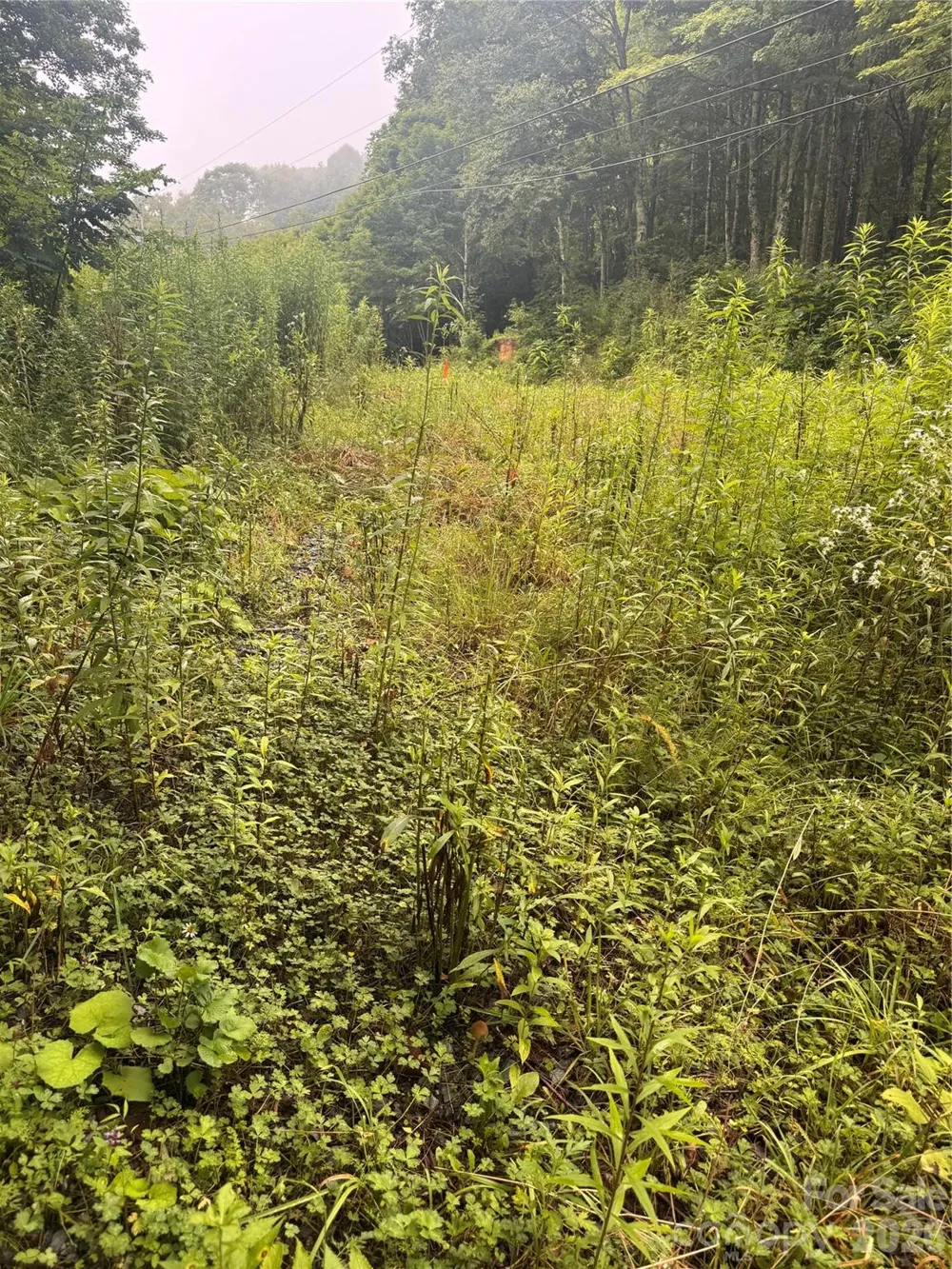 TBD Sugar Mountain 2 Road #B Newland, NC 28657