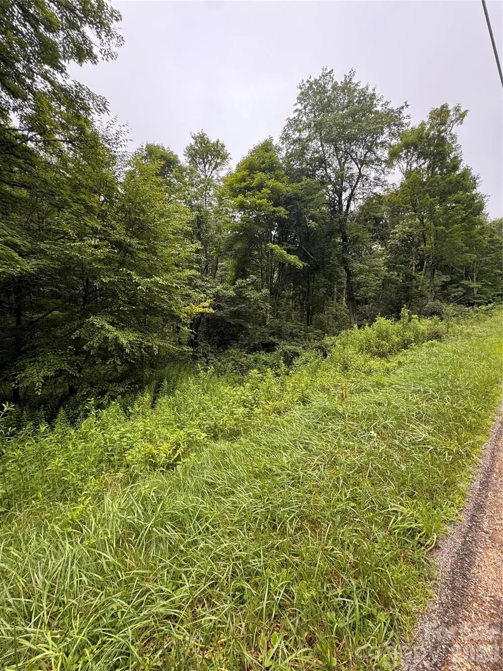 TBD Sugar Mountain 2 Road #B Newland, NC 28657