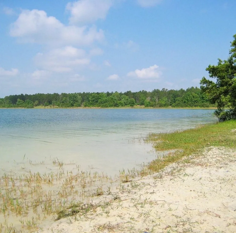 11025 SE 132ND PLACE Ocklawaha, FL 32179