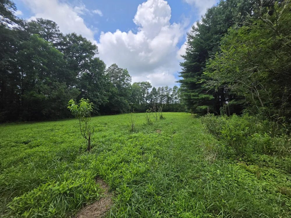 109 Rankin Road Gruetli Laager, TN 37339