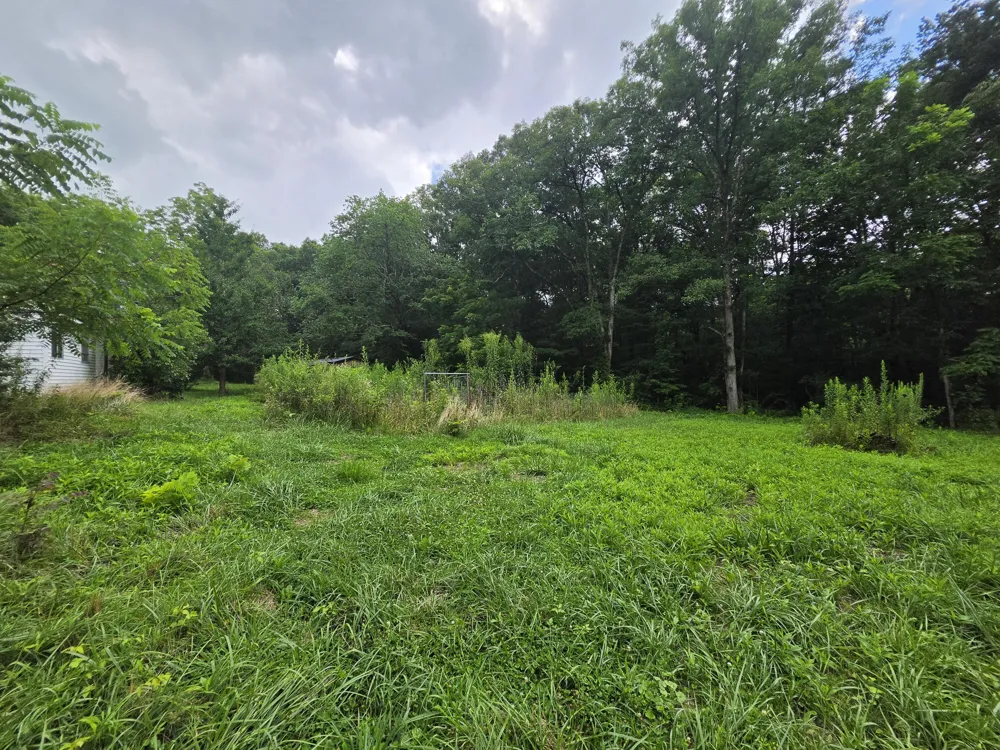 109 Rankin Road Gruetli Laager, TN 37339