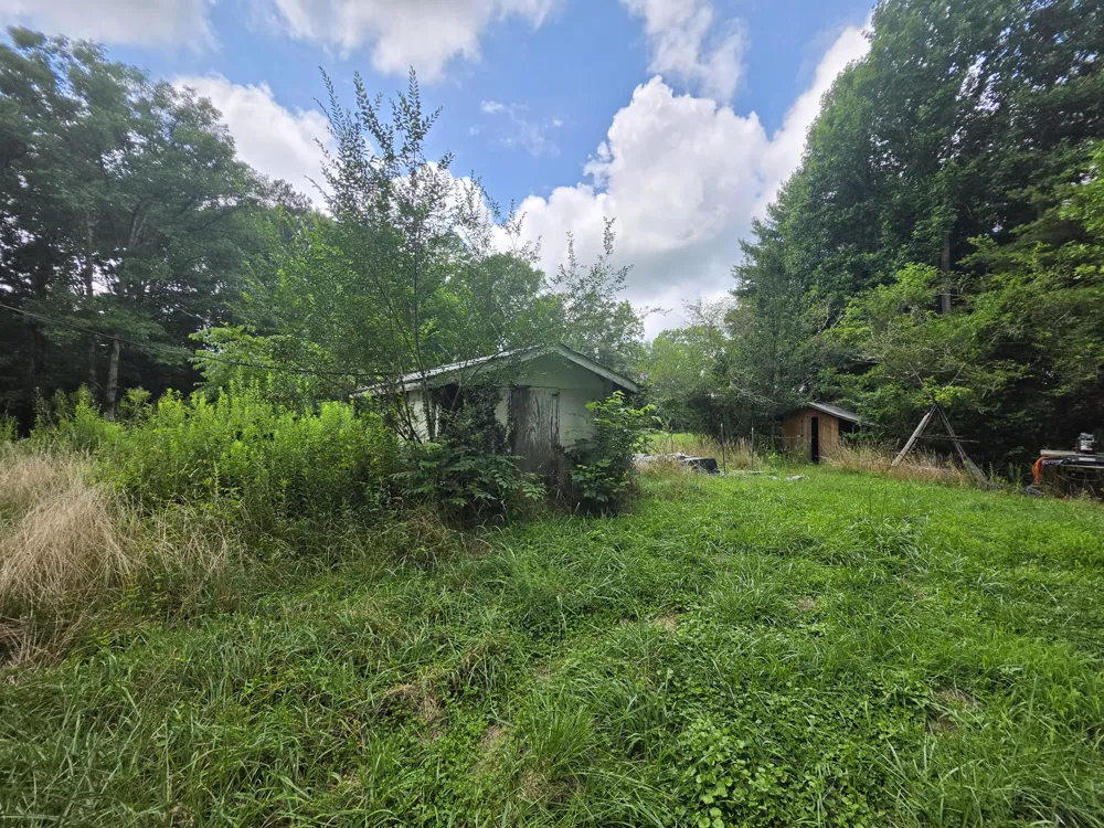 109 Rankin Road Gruetli Laager, TN 37339