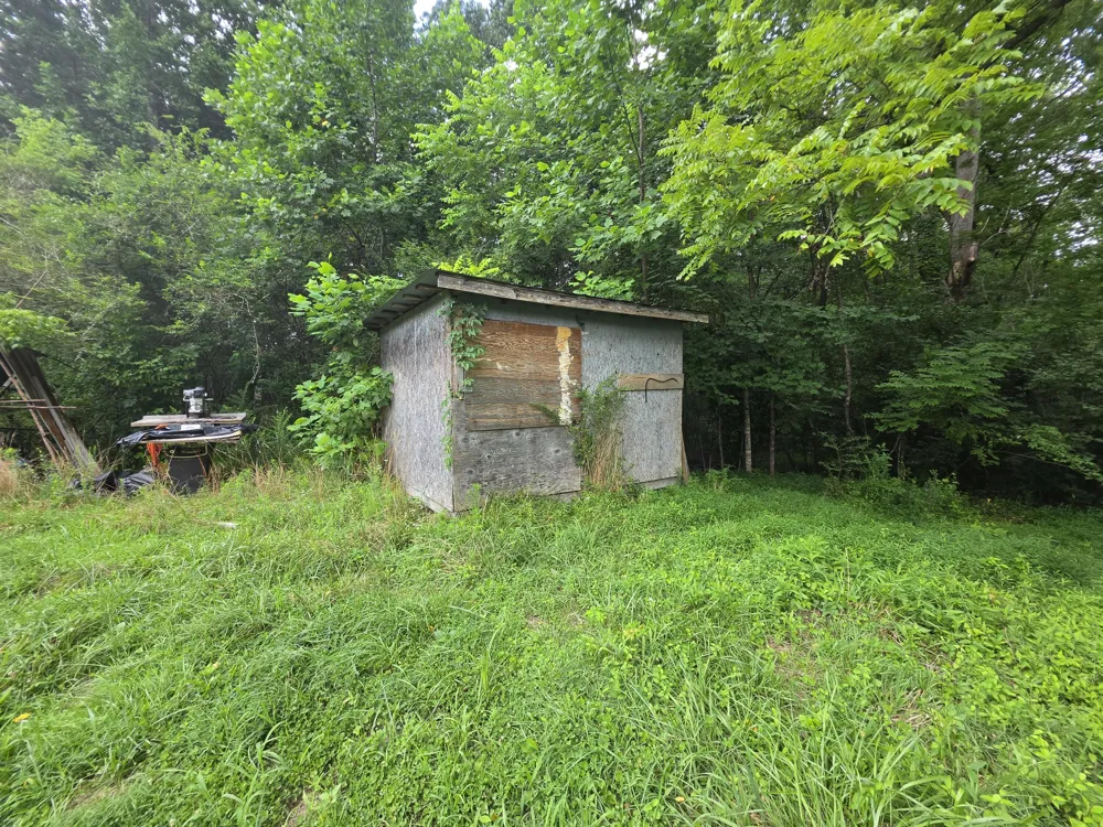 109 Rankin Road Gruetli Laager, TN 37339