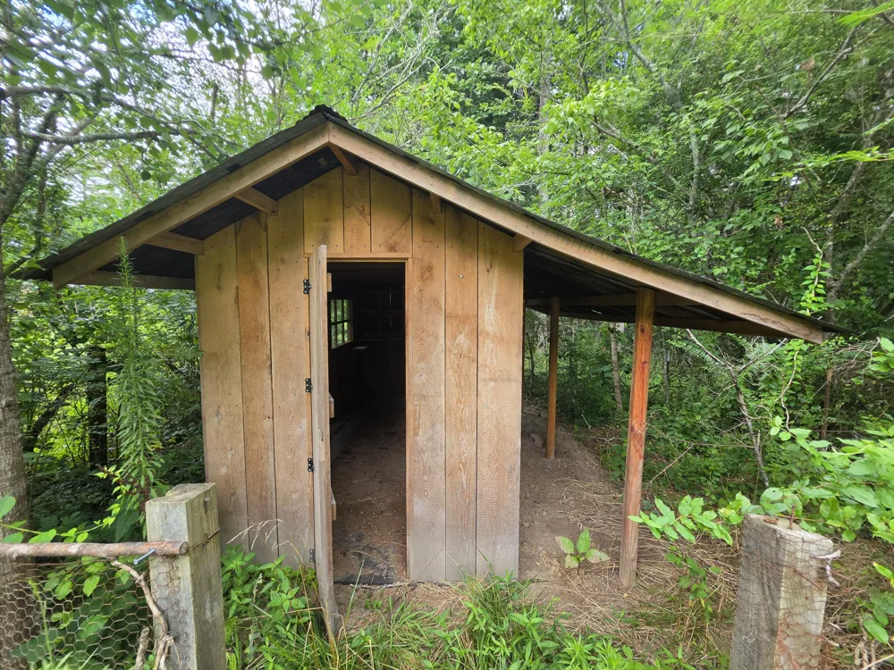 109 Rankin Road Gruetli Laager, TN 37339