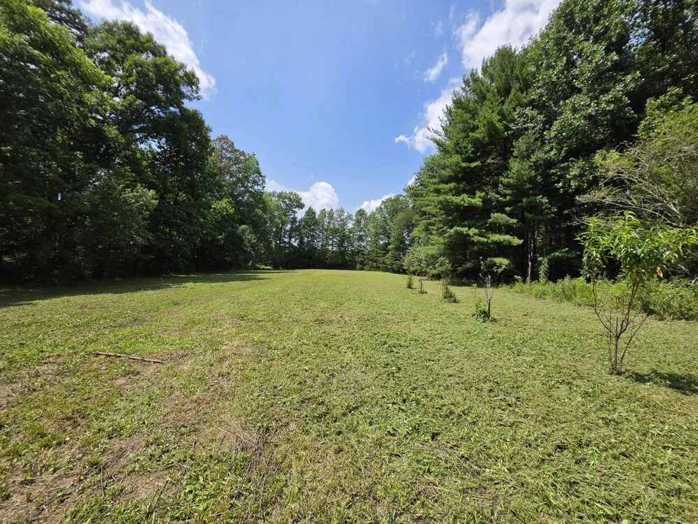 109 Rankin Road Gruetli Laager, TN 37339