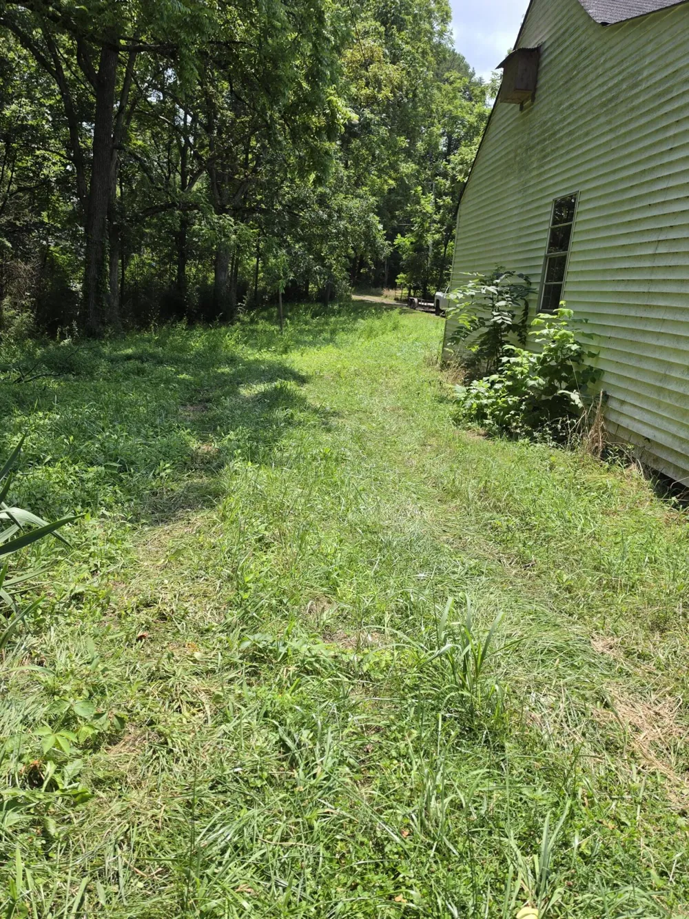 109 Rankin Road Gruetli Laager, TN 37339