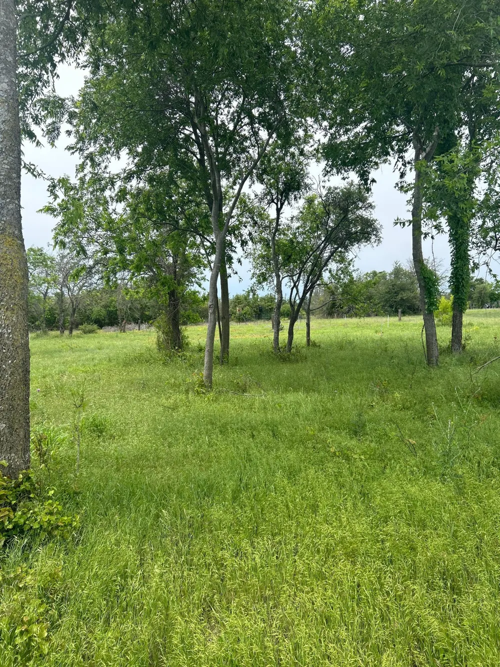 Round Up Court Stephenville, TX 76401