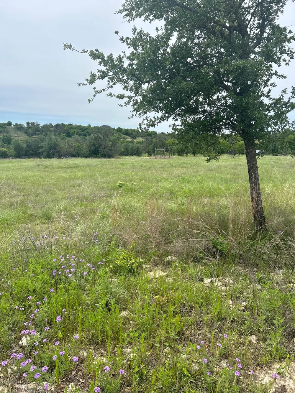 Round Up Court Stephenville, TX 76401