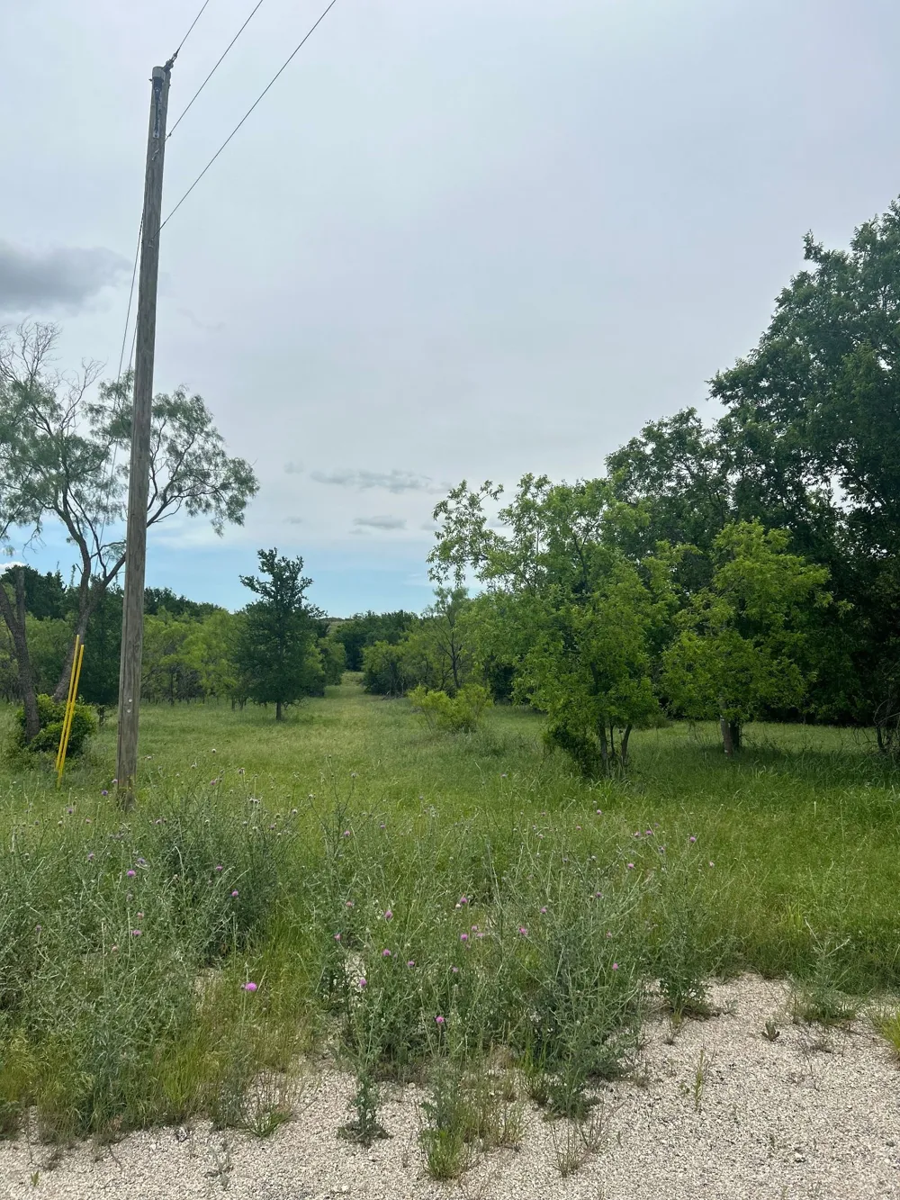 Round Up Court Stephenville, TX 76401