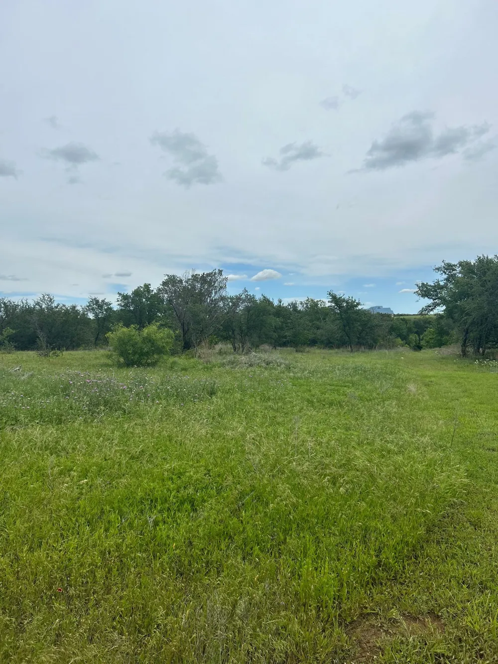 Round Up Court Stephenville, TX 76401