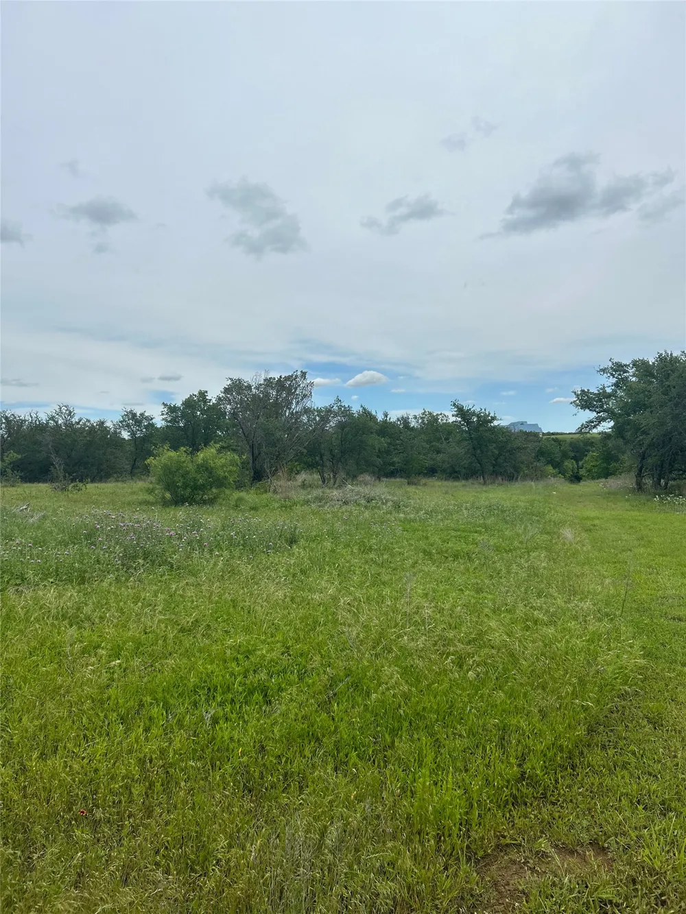 Round Up Court Stephenville, TX 76401