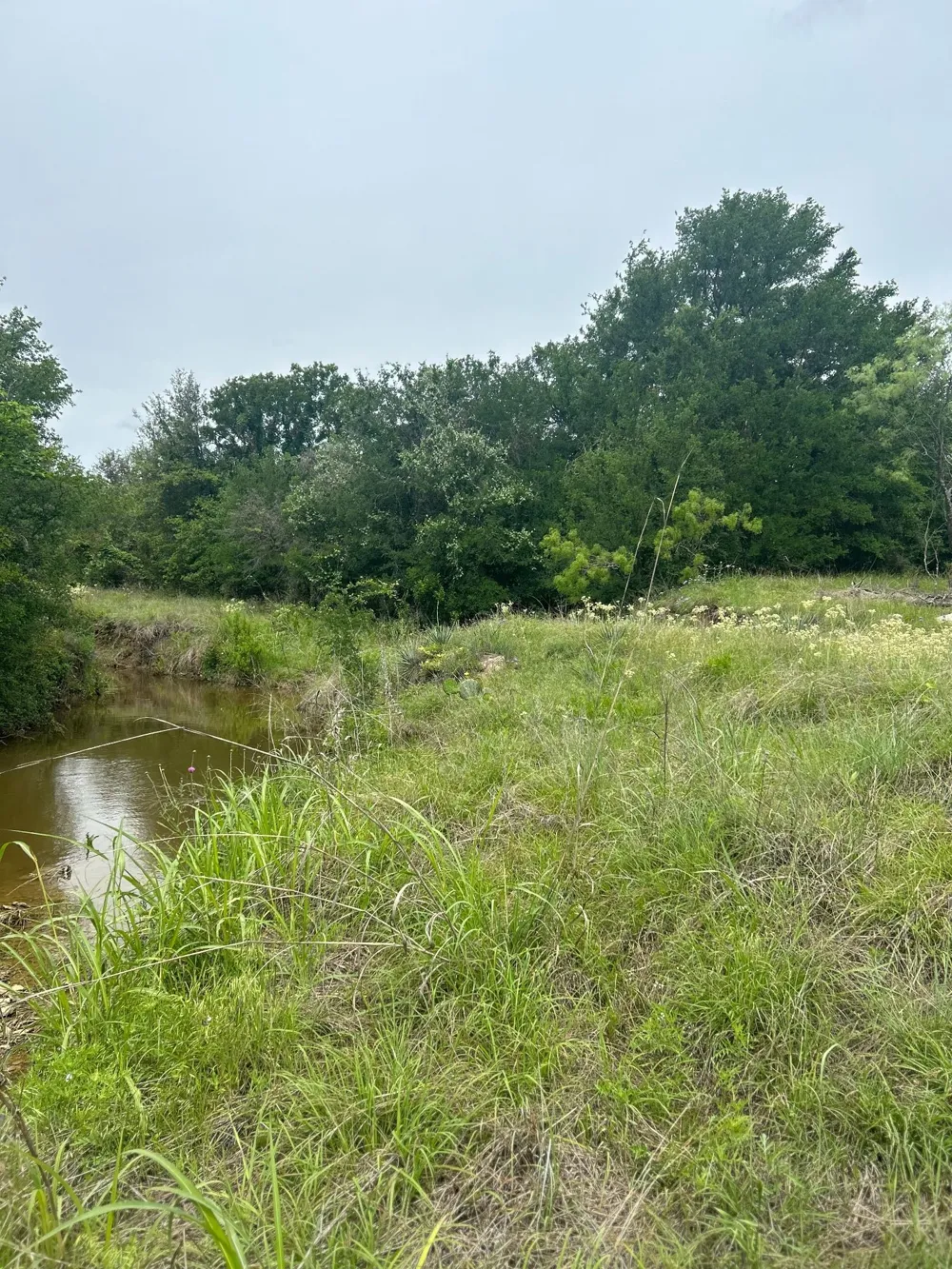 Round Up Court Stephenville, TX 76401