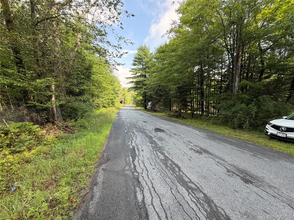 137 Old Turnpike Road Woodridge, NY 12789