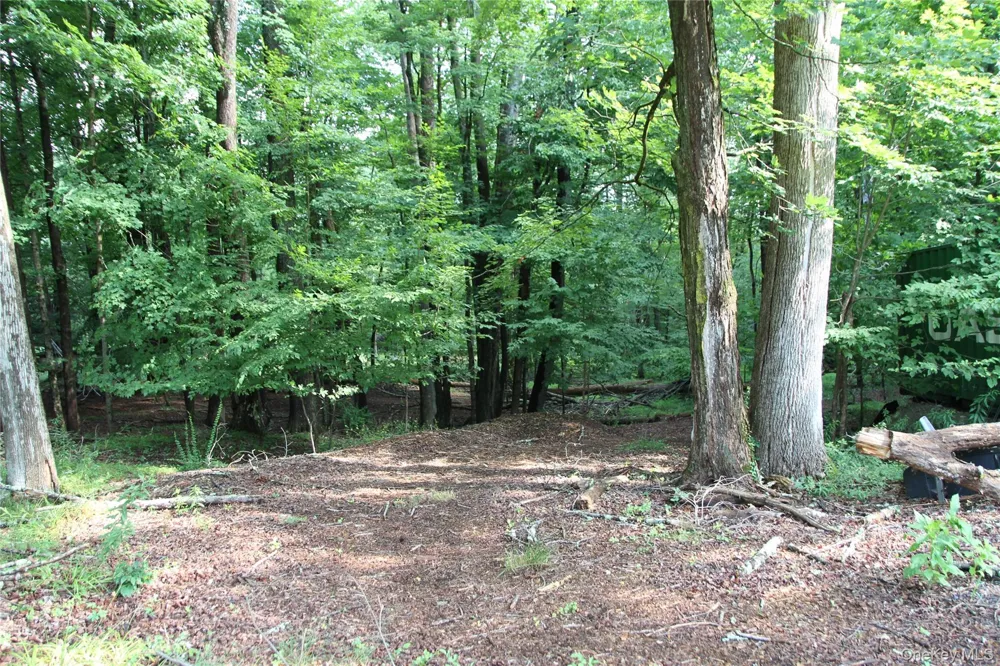 137 Old Turnpike Road Woodridge, NY 12789