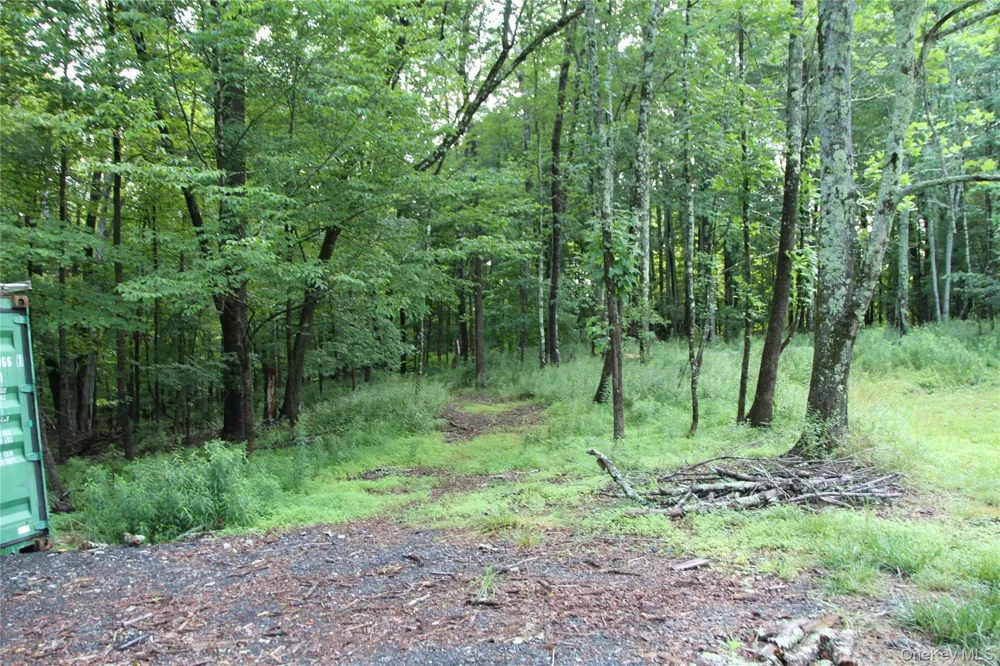 137 Old Turnpike Road Woodridge, NY 12789