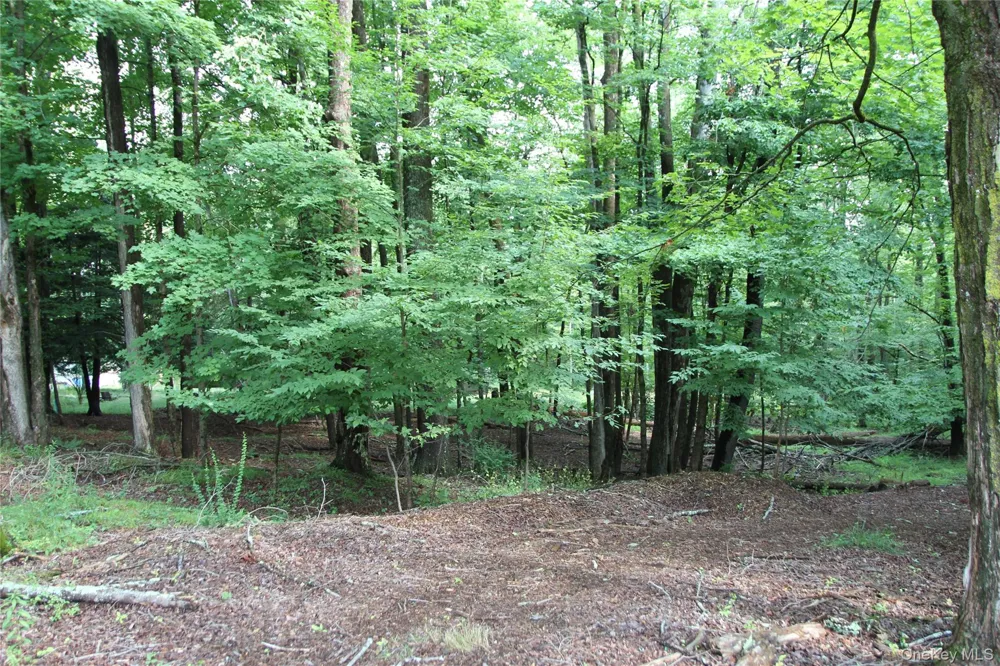 137 Old Turnpike Road Woodridge, NY 12789