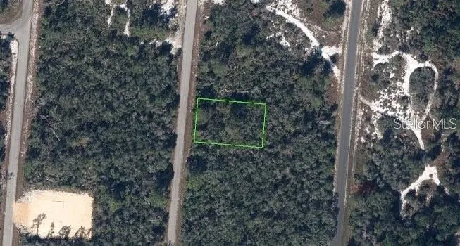 110 DELMAR AVENUE NE Lake Placid, FL 33852