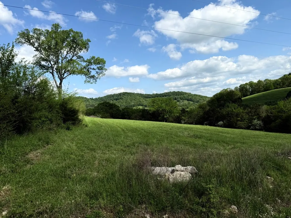 222 Cook Hollow Ln Pleasant Shade, TN 37145
