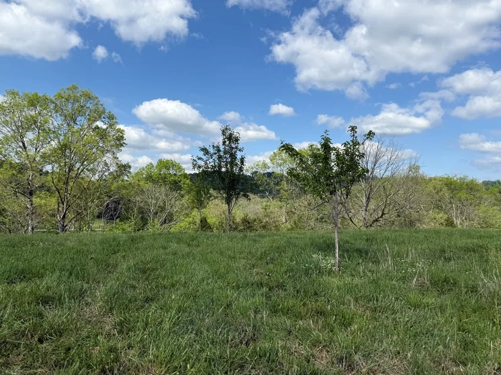 222 Cook Hollow Ln Pleasant Shade, TN 37145