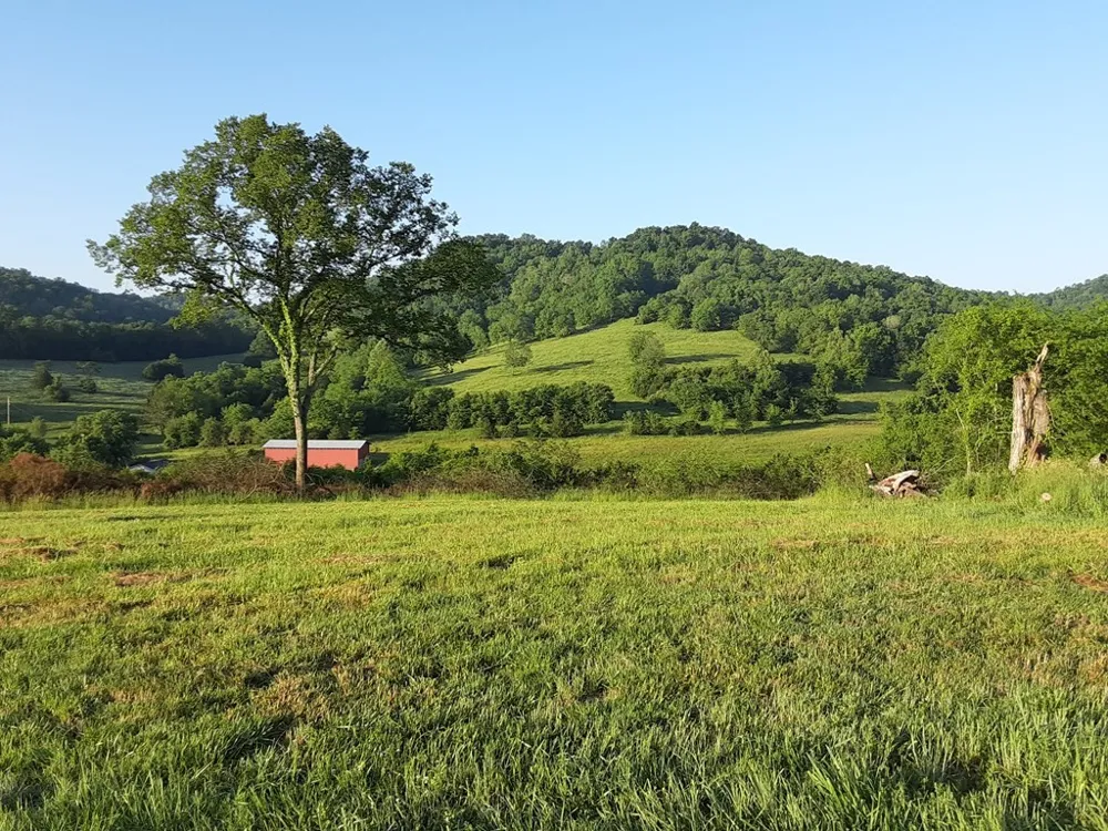 222 Cook Hollow Ln Pleasant Shade, TN 37145