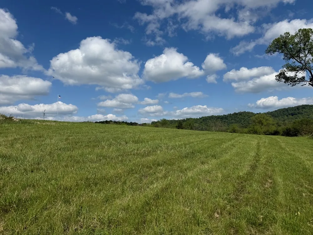 222 Cook Hollow Ln Pleasant Shade, TN 37145