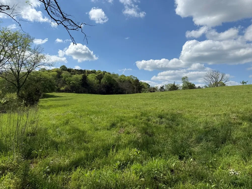 222 Cook Hollow Ln Pleasant Shade, TN 37145