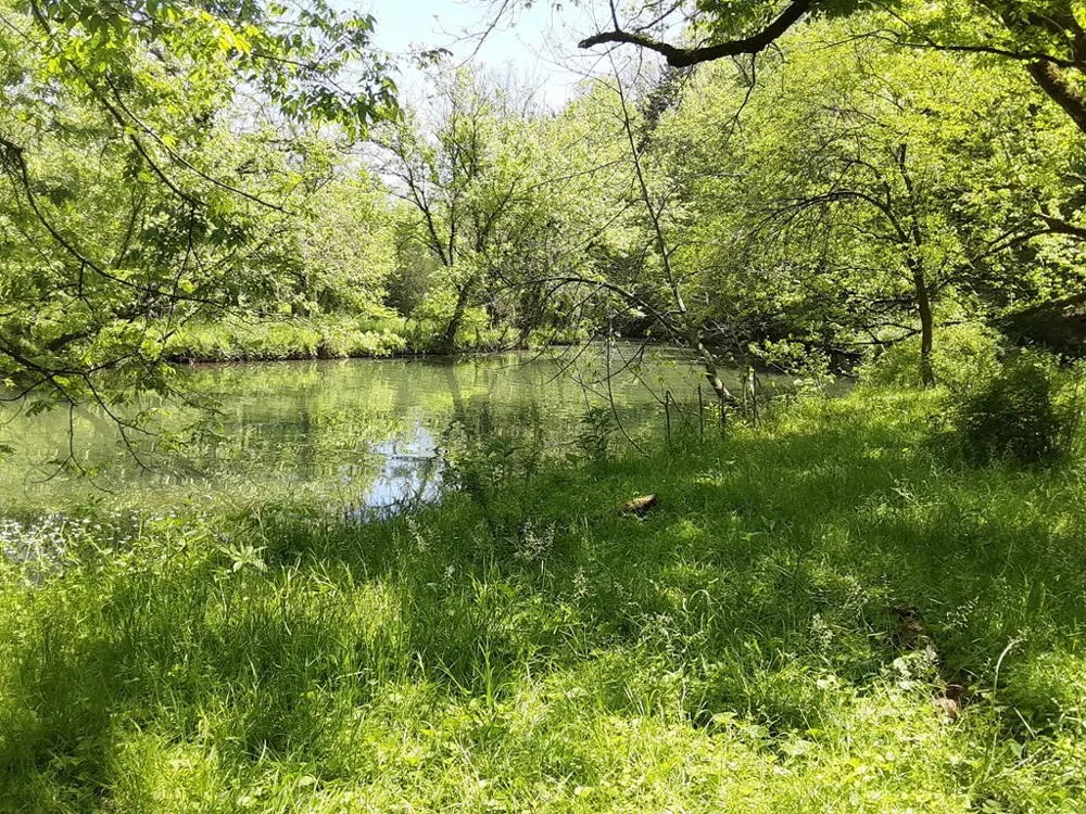 222 Cook Hollow Ln Pleasant Shade, TN 37145
