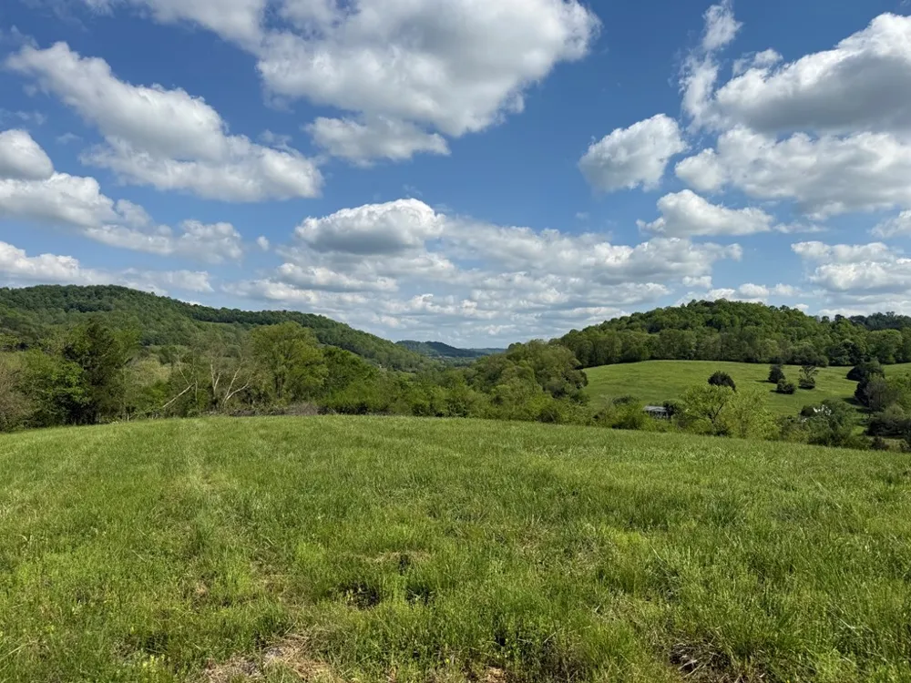 222 Cook Hollow Ln Pleasant Shade, TN 37145