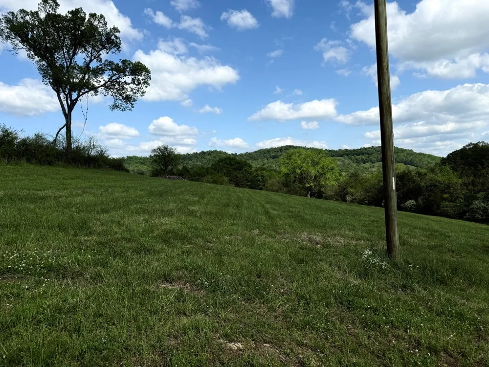 222 Cook Hollow Ln Pleasant Shade, TN 37145