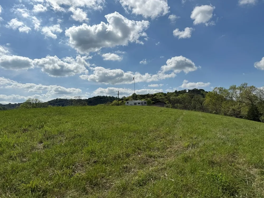222 Cook Hollow Ln Pleasant Shade, TN 37145