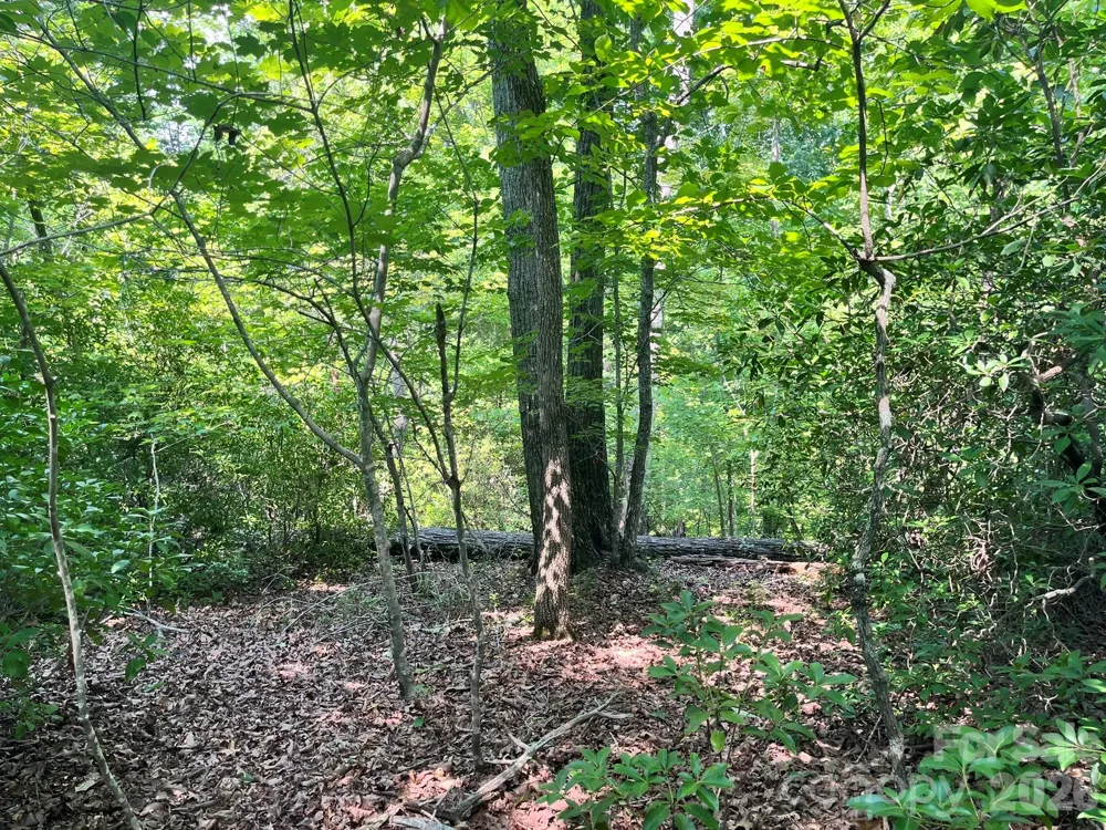 Lot 25 Bluebird Terrace Lake Lure, NC 28746